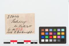 Etiketten zu Bronzeknopf (NHMW-PRAE-025044)